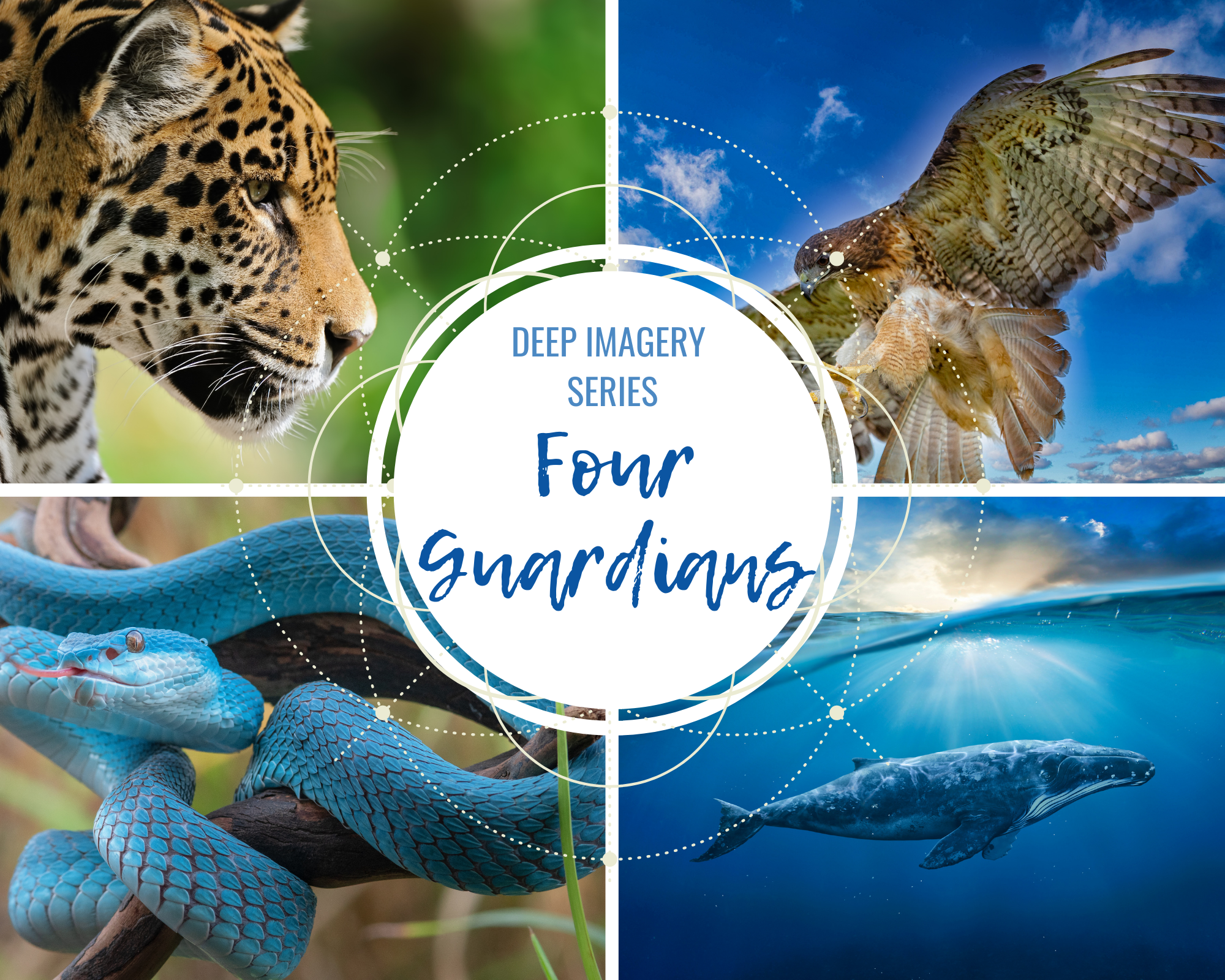 The Four Guardians: Deep Imagery Series