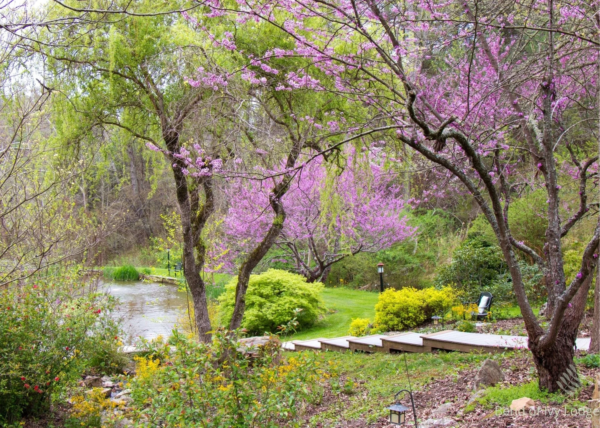 Asheville Retreat 2022