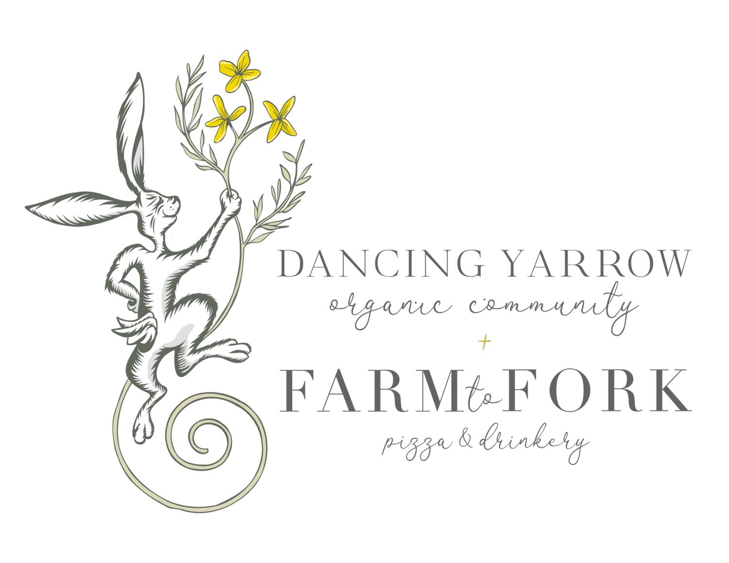 Dancing Yarrow