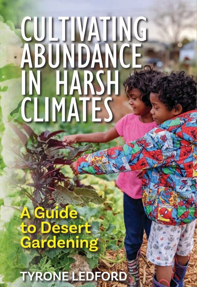 Book Image Front Page.png