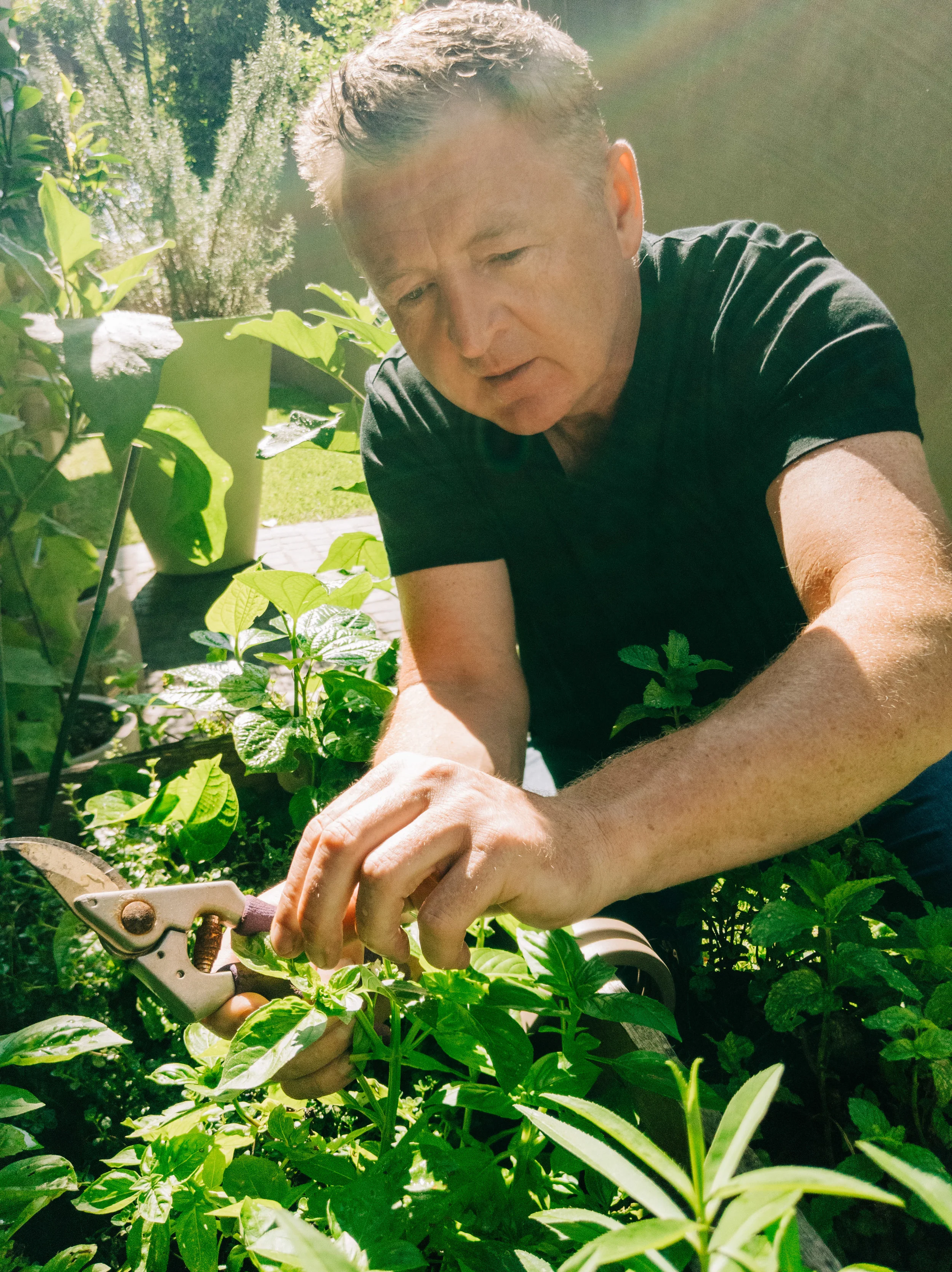 Here I am picking out some of my favourite fresh herbs from my garden at home. I bring these into Luke’s Kitchen every morning.