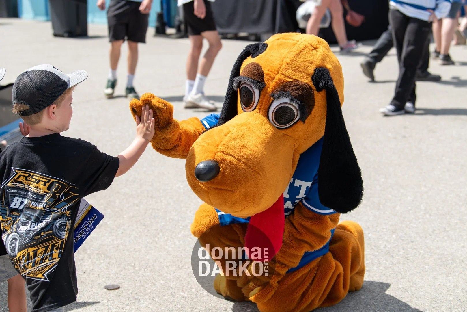 donnadarko.com DS2_9371.jpg