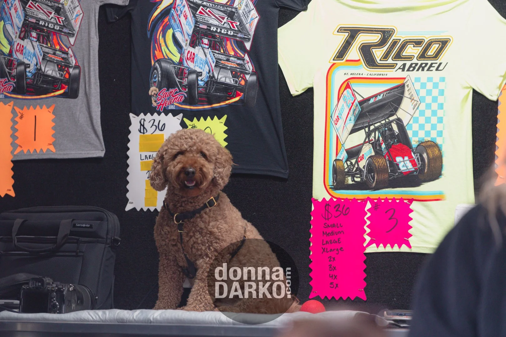 donnadarko.com DS2_9437.jpg