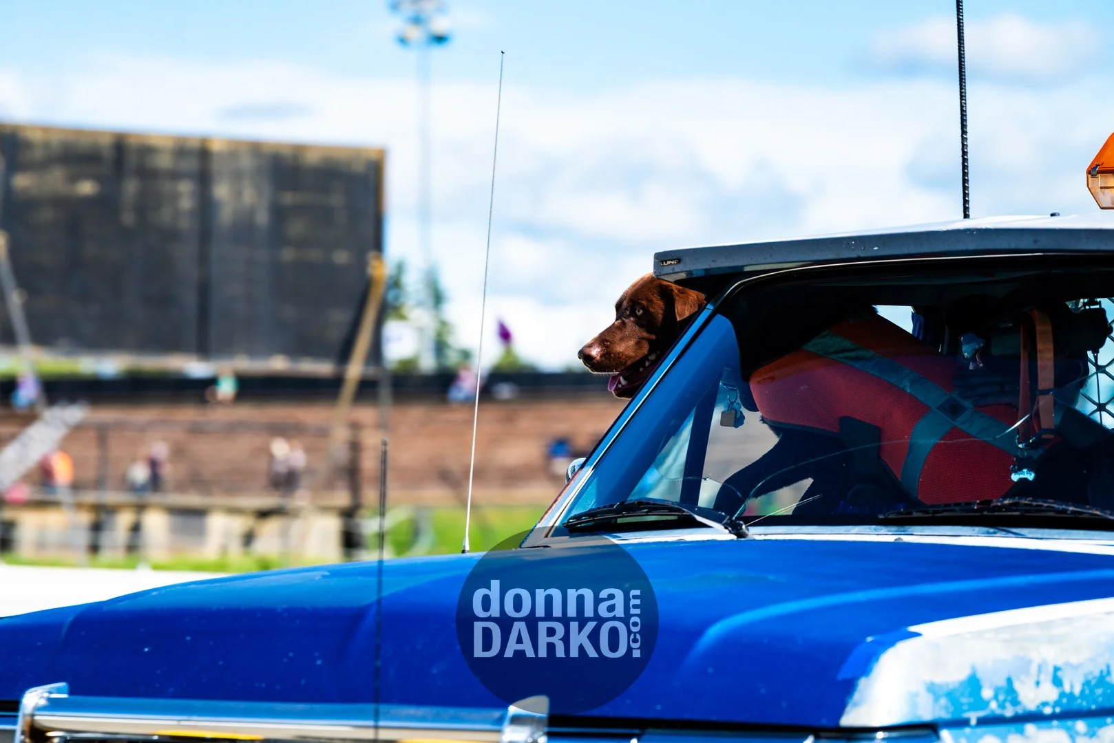 donnadarko.com DS2_0770.jpg
