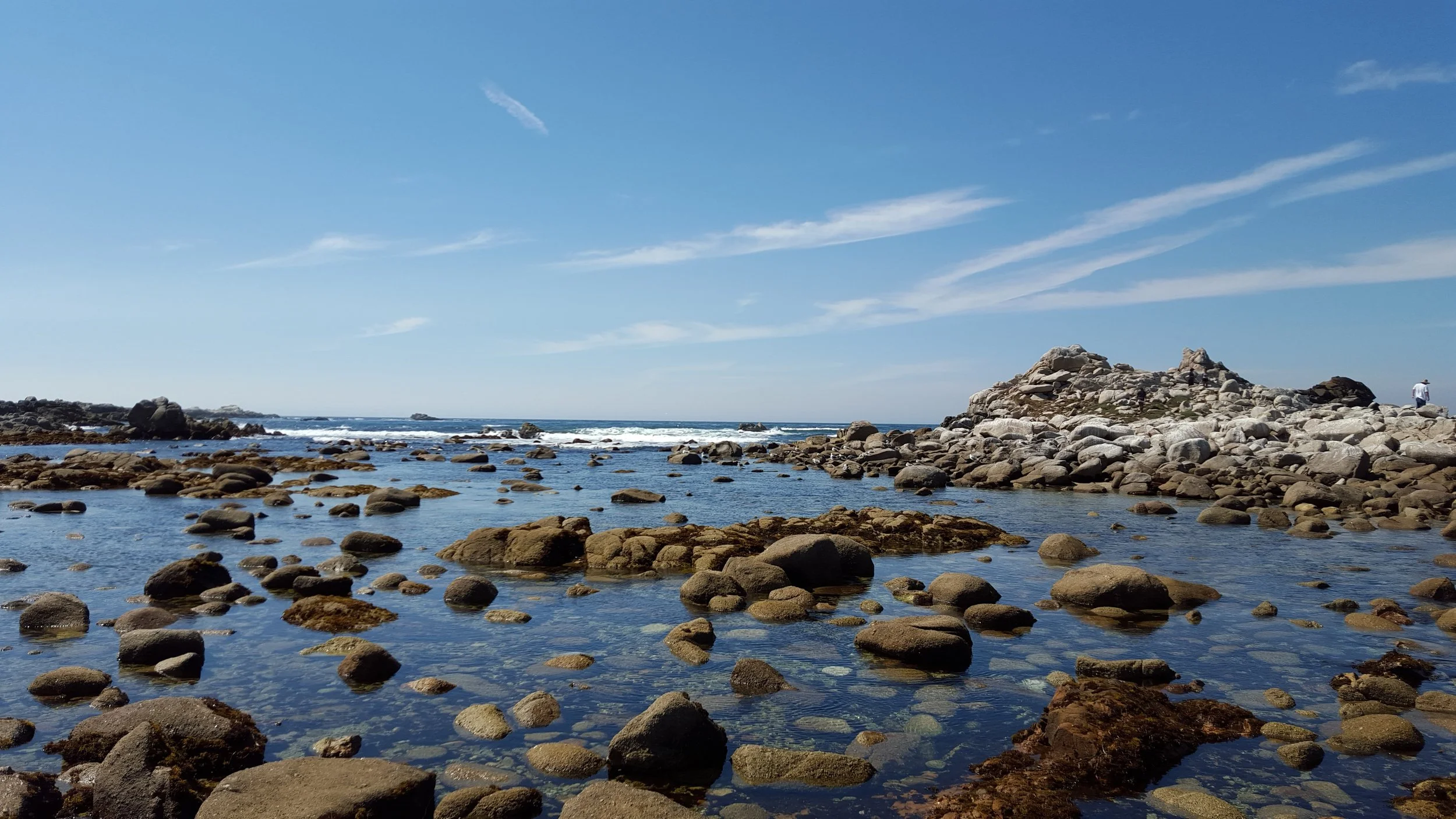 20150815_151920.jpg