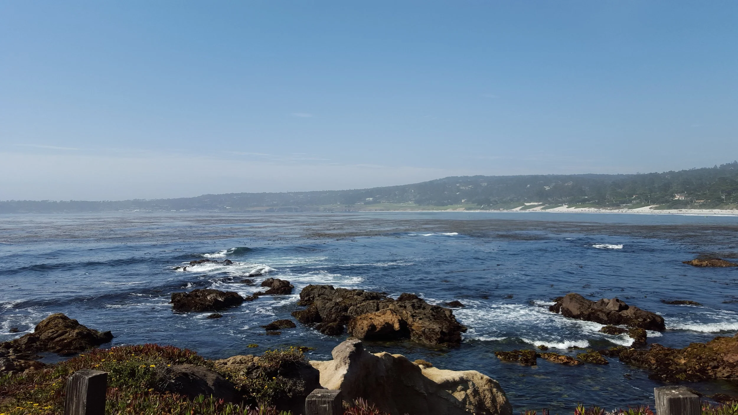 20150816_162057.jpg
