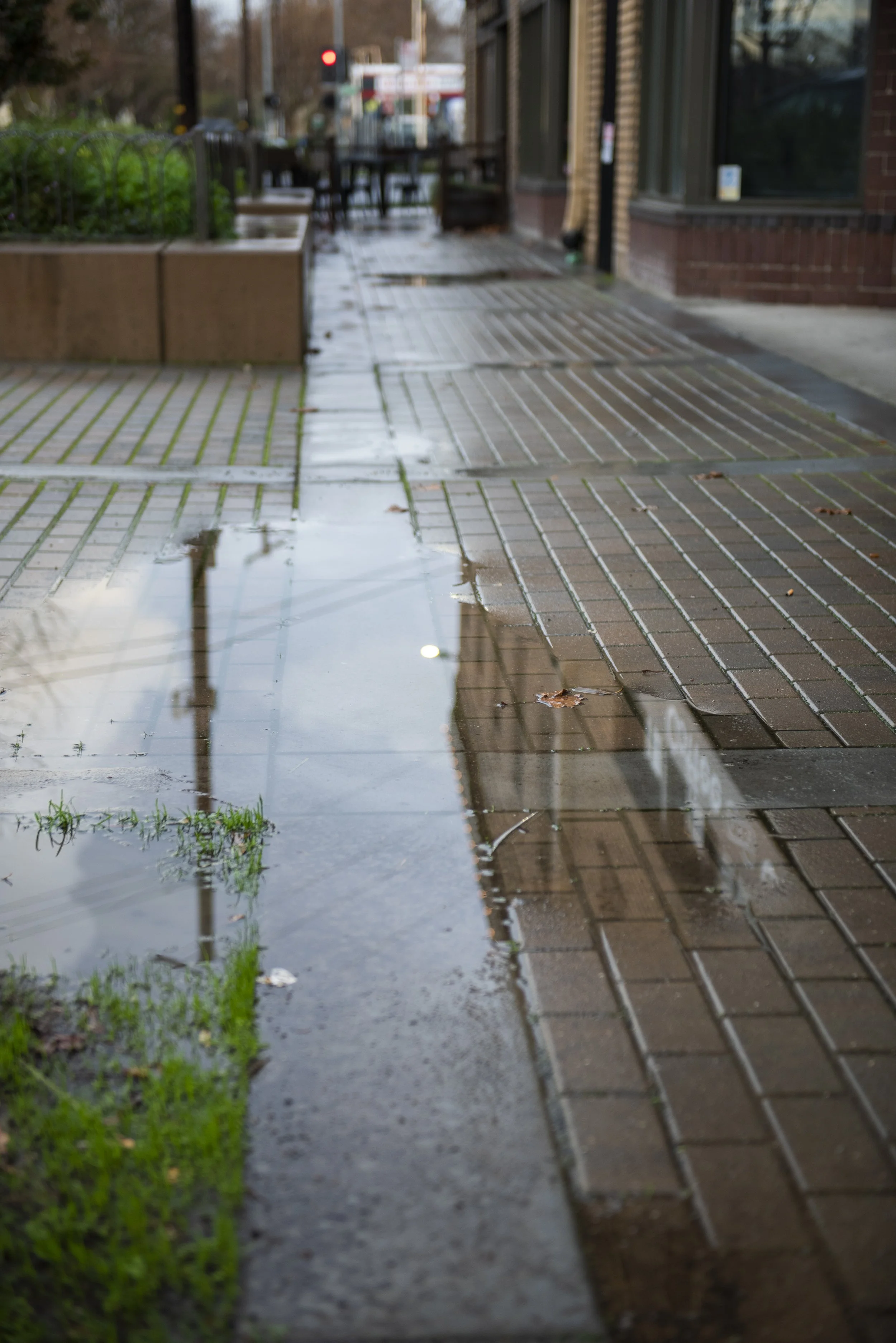 20140328-JW1_3622.jpg
