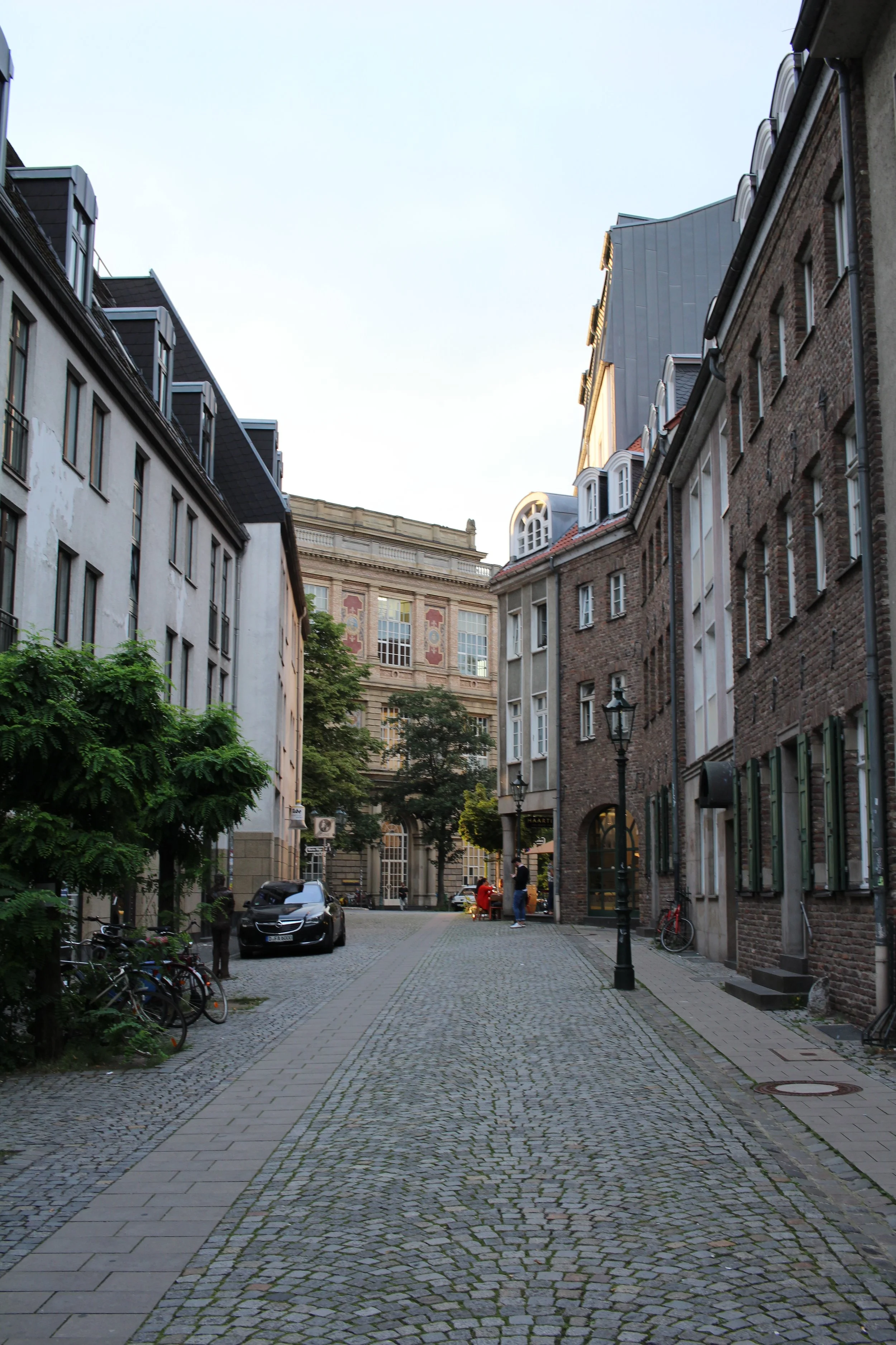 IMG_3565.JPG