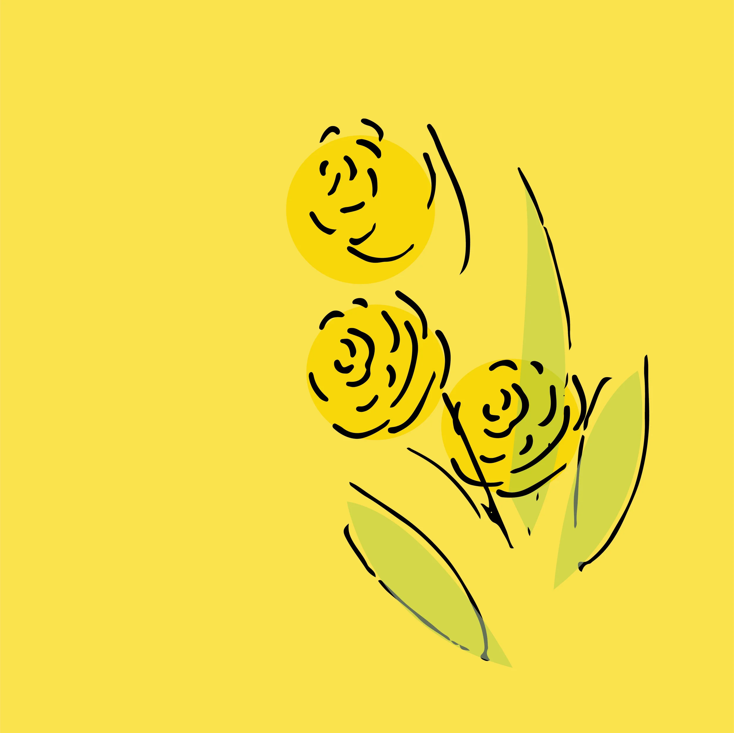 thumbnails-06.jpg