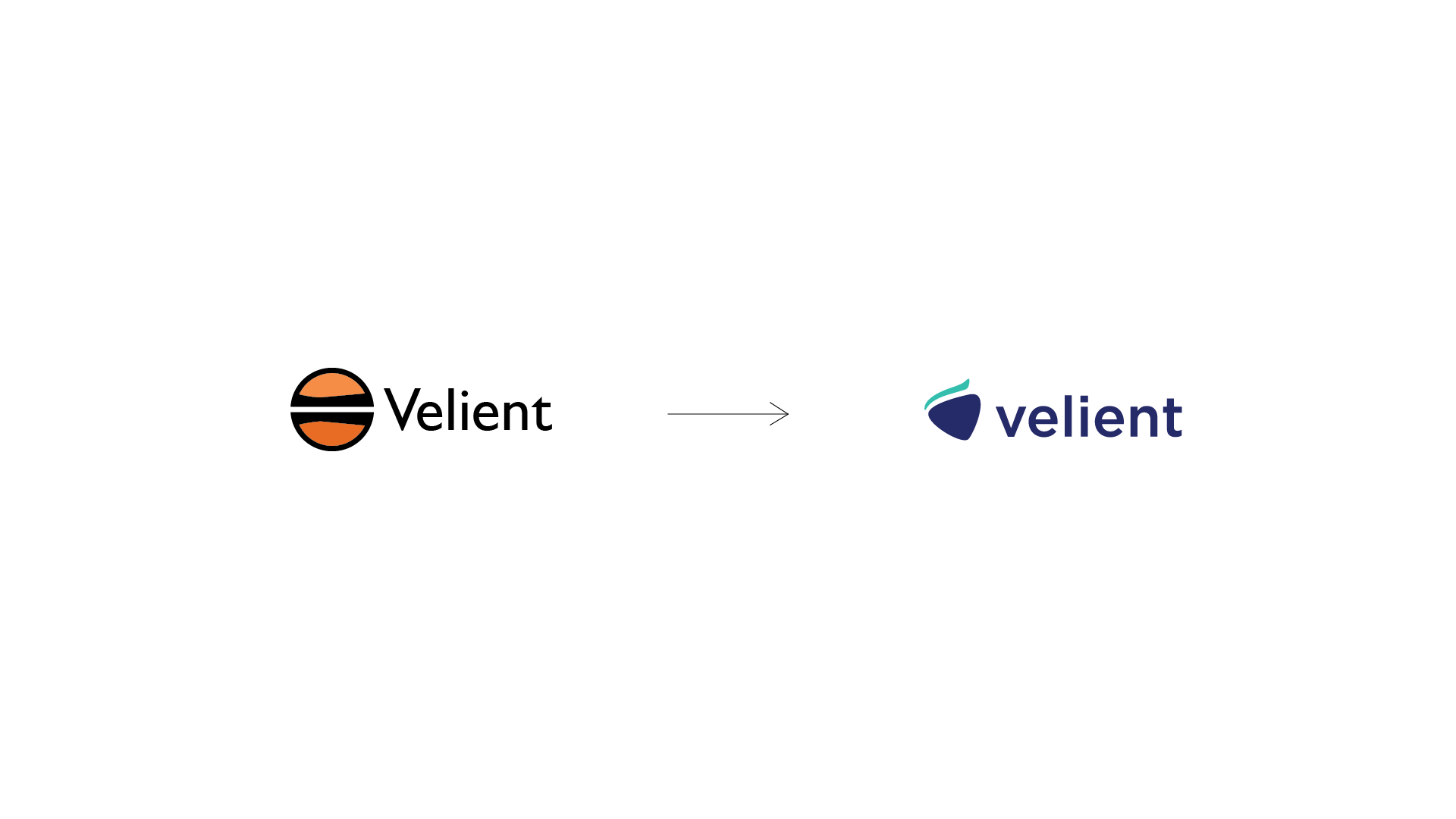 velient-study 1.png