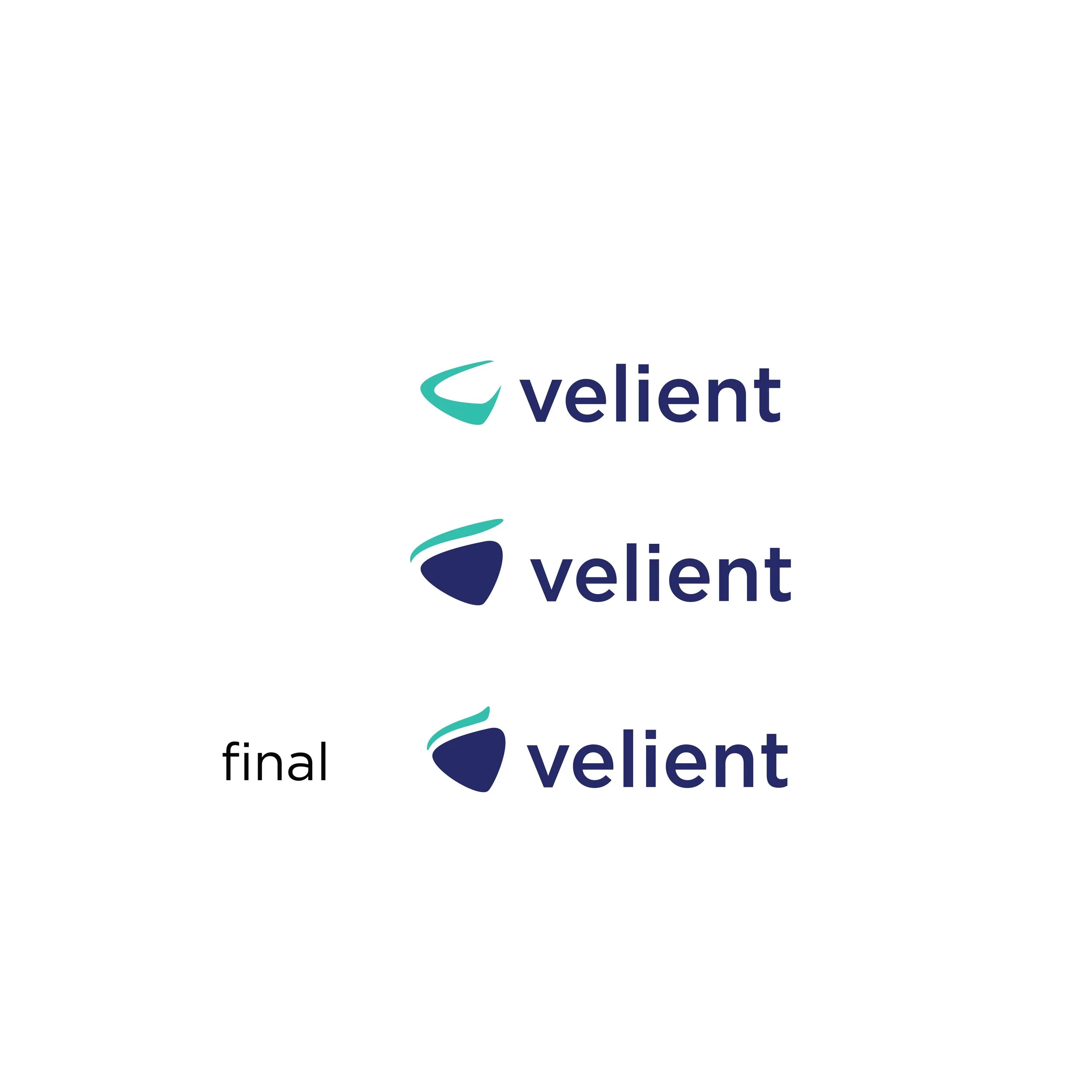 Velient_web_explain-01.jpg