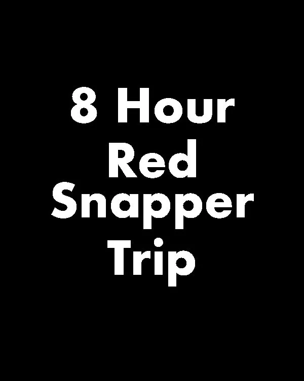 8 Hour Red Snapper Trip