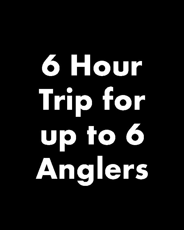 6 hour trip inside 20 miles for up to 6 people