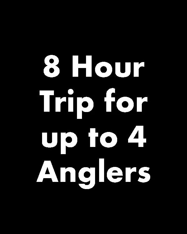 8 Hour Trip for up to 4 people from beach front out to 9 Nautical Miles