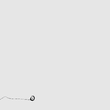 Original Score Animation