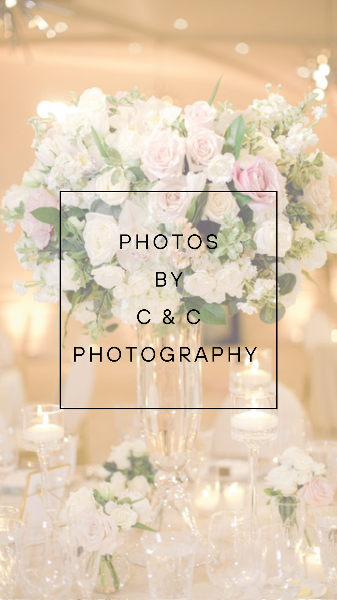PHOTOS BY C & C PHOTOGRAPHY.png