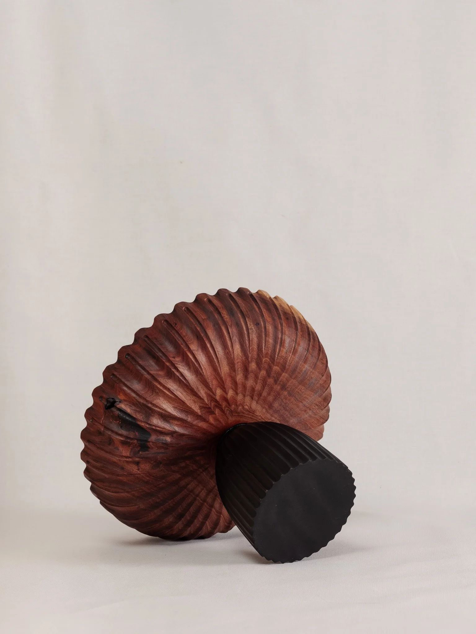 DSCF5350.jpg