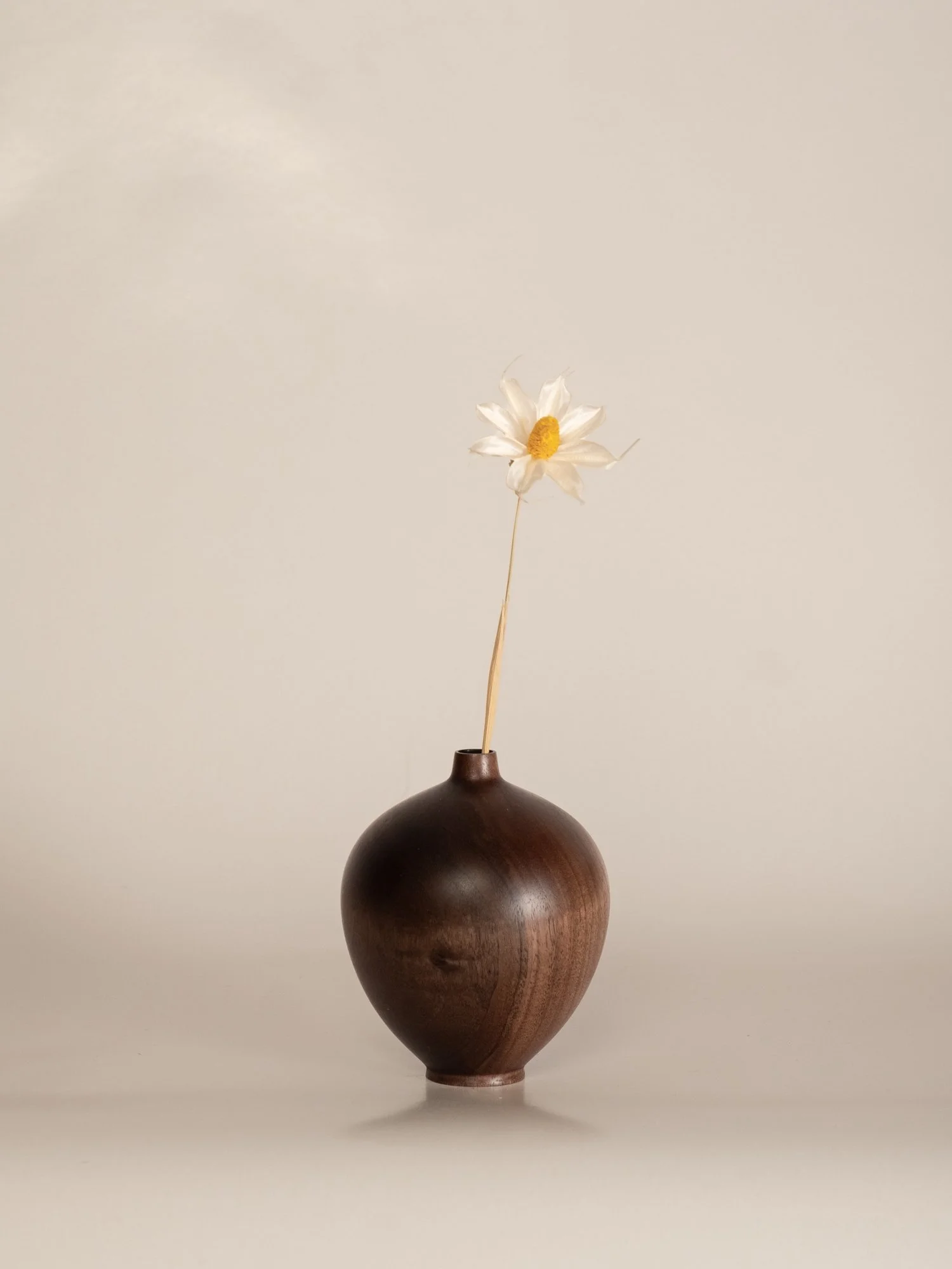 DSCF3588.jpg