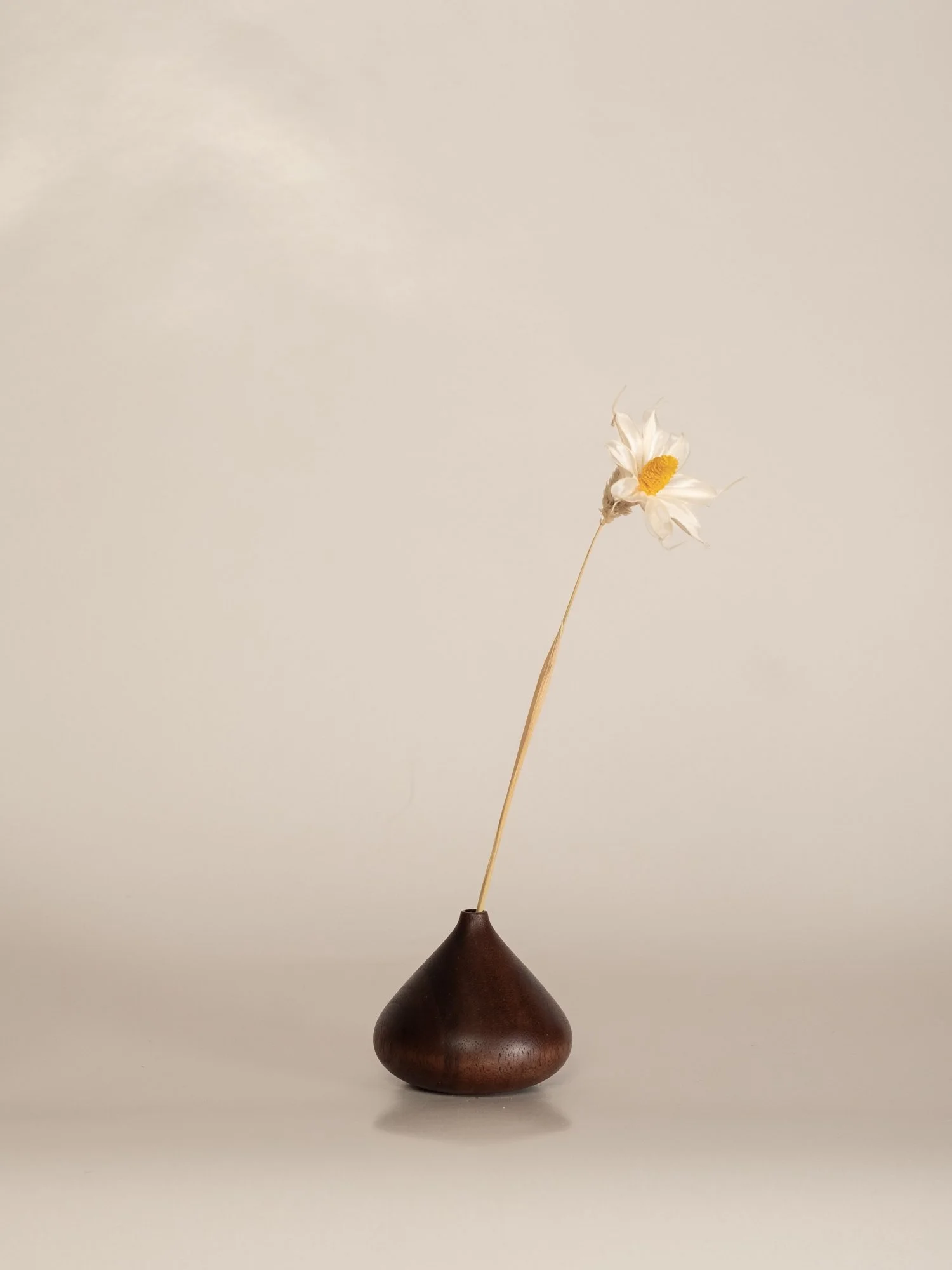 DSCF3575.jpg