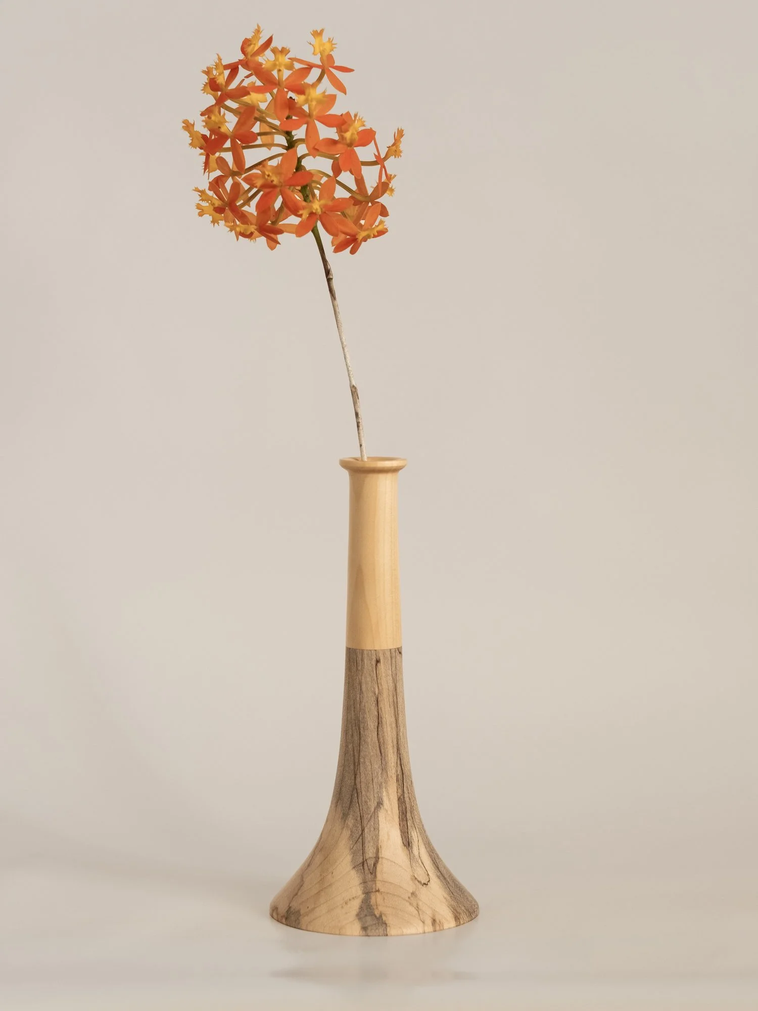 DSCF3819.jpg