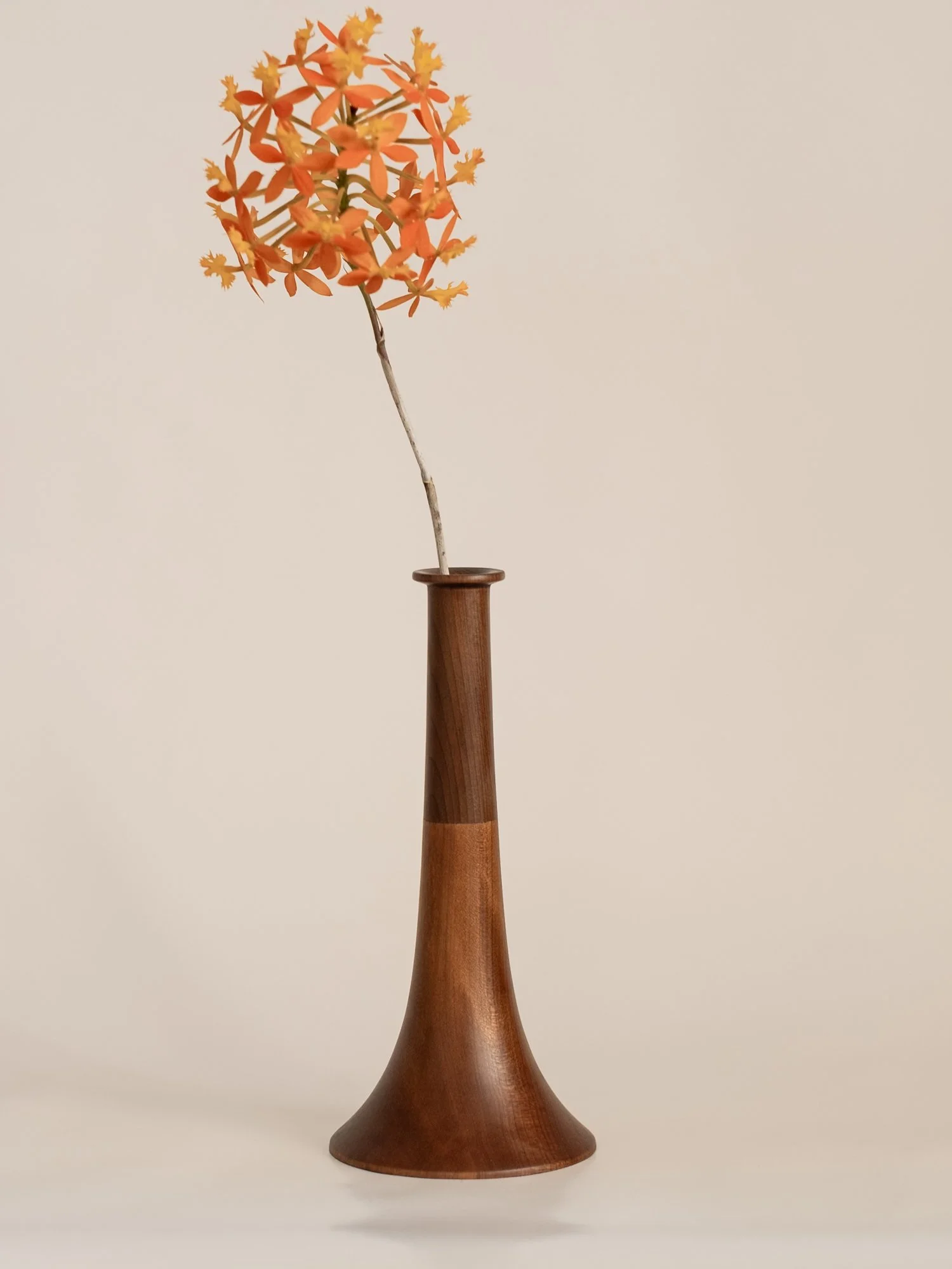 DSCF3806.jpg