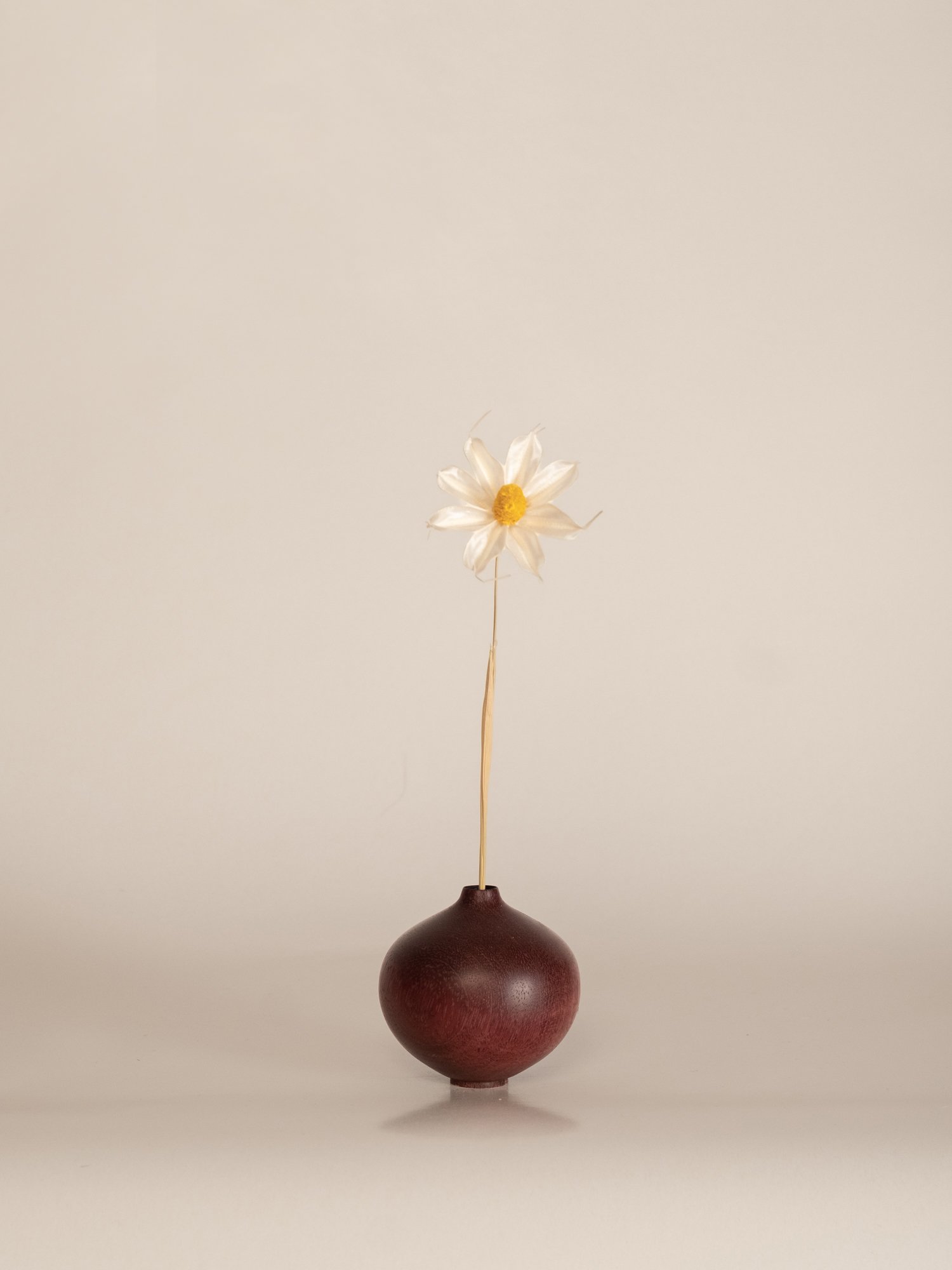 DSCF3592.jpg