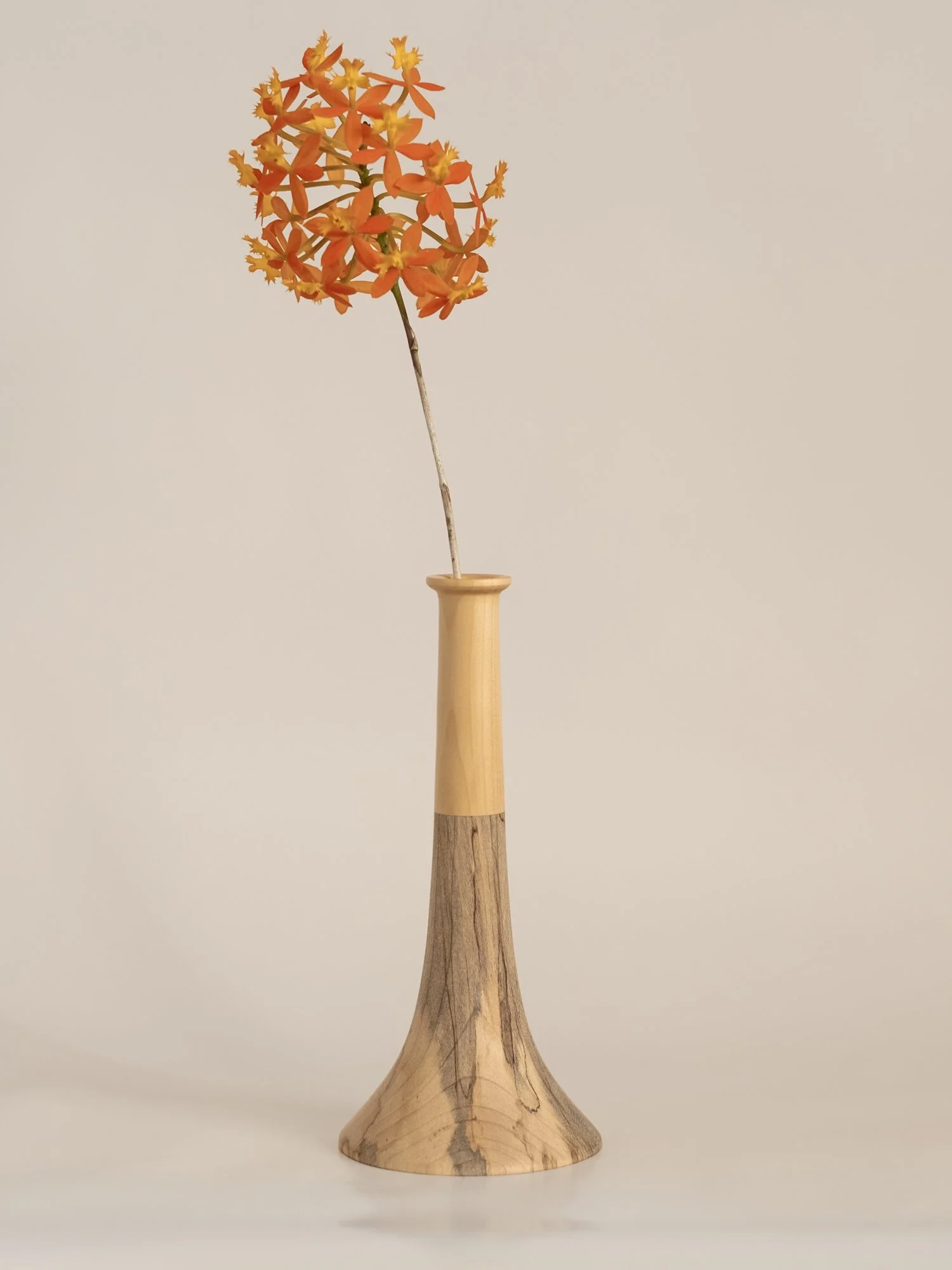 DSCF3819.jpg