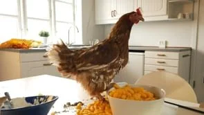 Hangover - Toast Fastfood @ Home