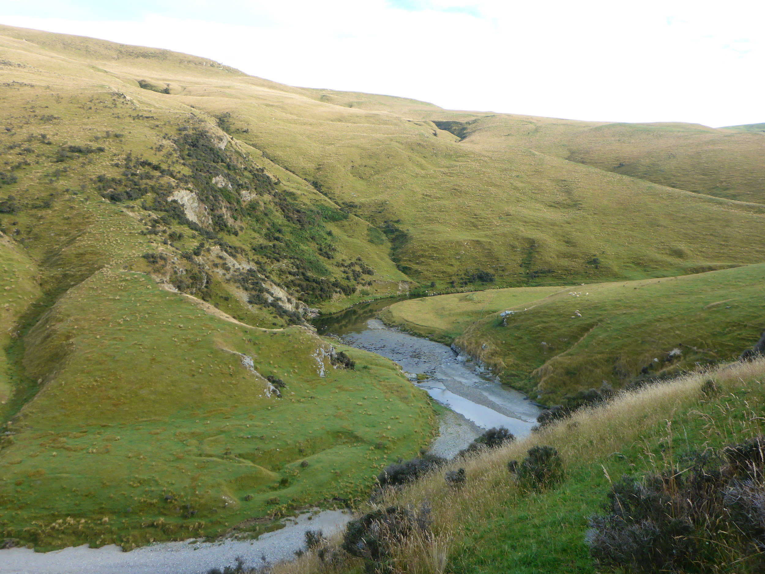 A peacefull valley, one of Otagos finest