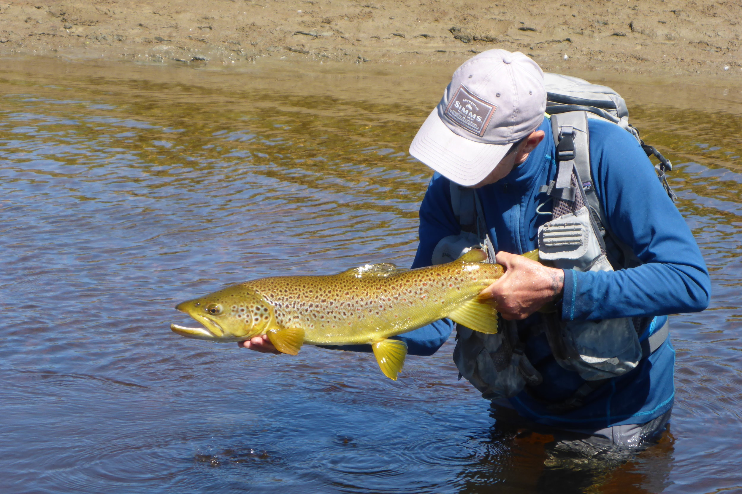 7.5lbs of golden fish, common from this river 