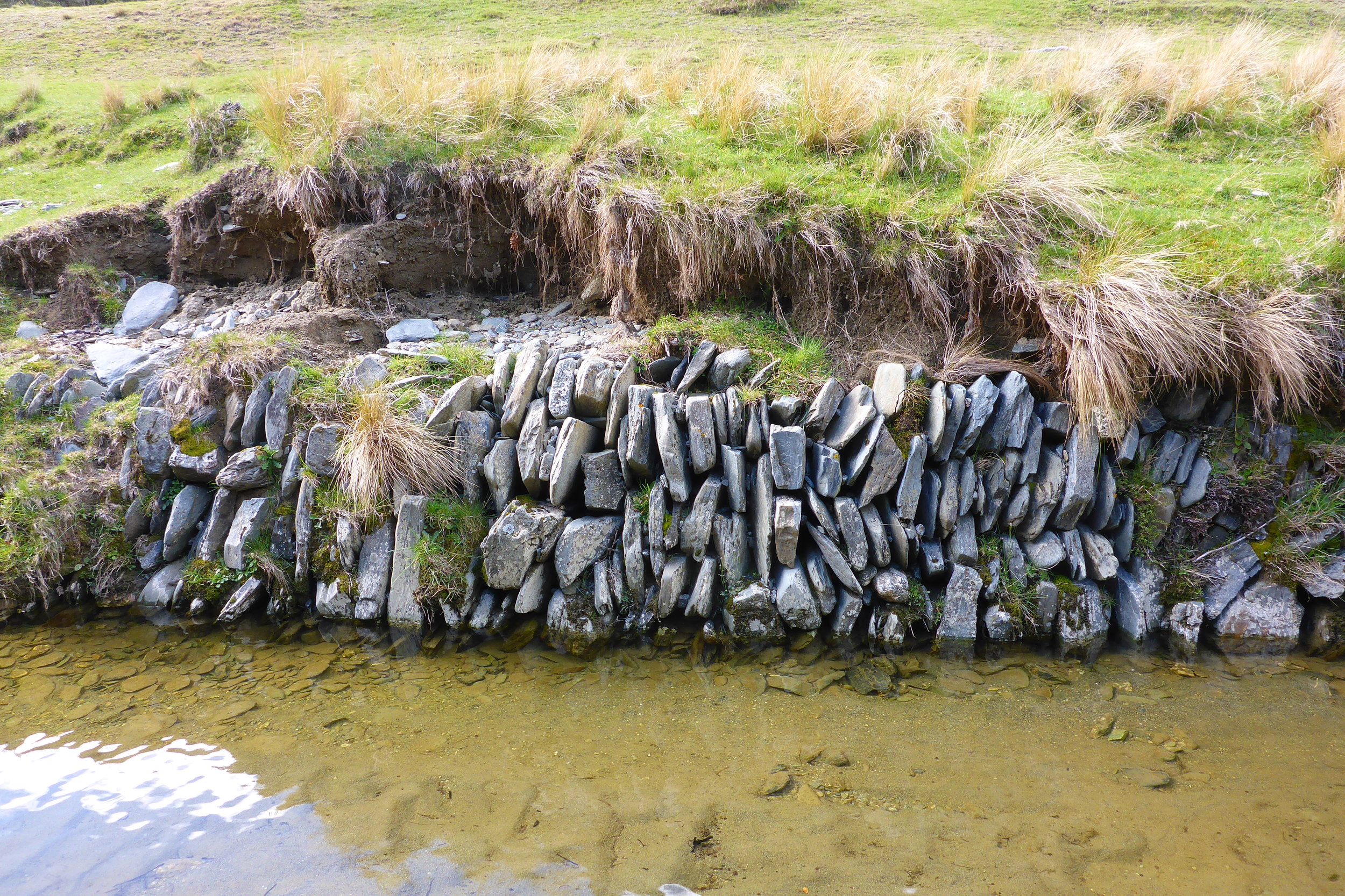 Old wall build by the chinese gold miners in Otago, a piece of history here!