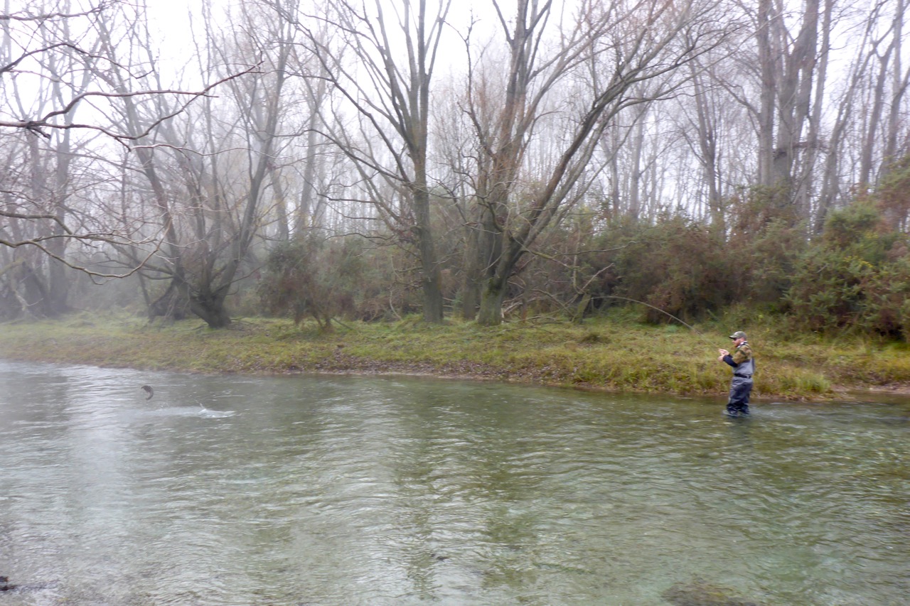 Chasing autumn rainbows on their annual run upstream