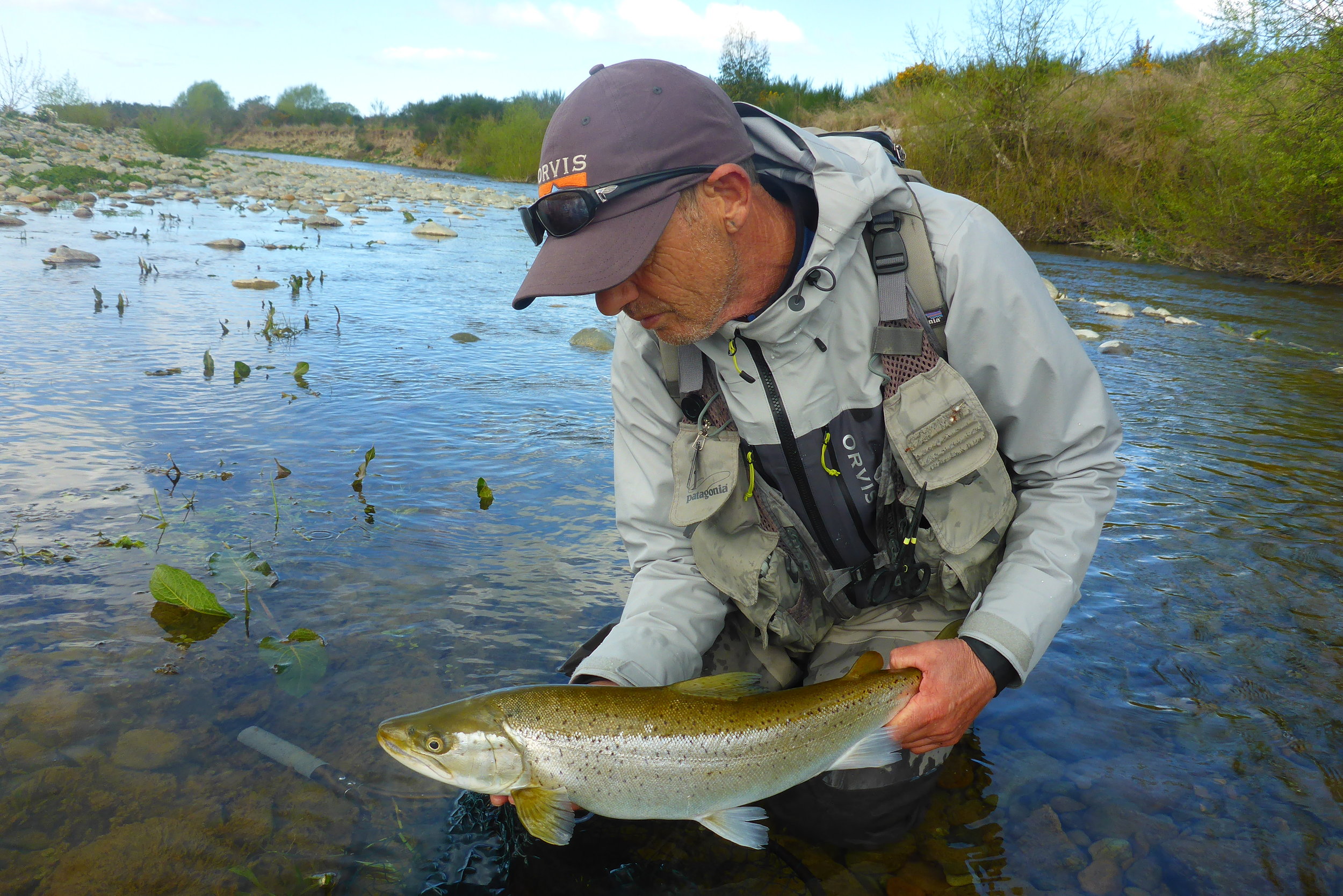  dry fly heaven, this fish couldn’t resist a parachute adams 