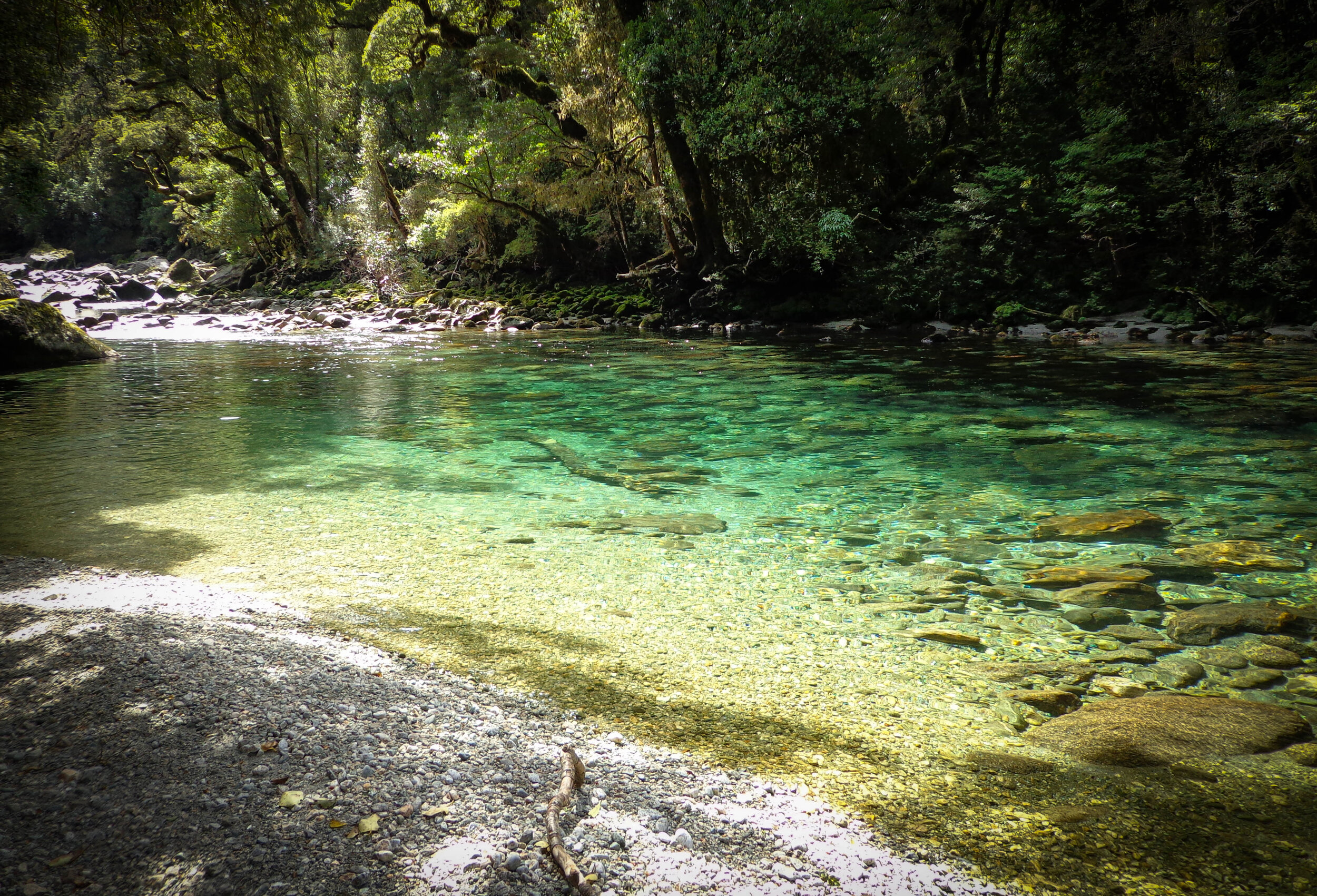 A pristine location to fly fish, New Zealand.  