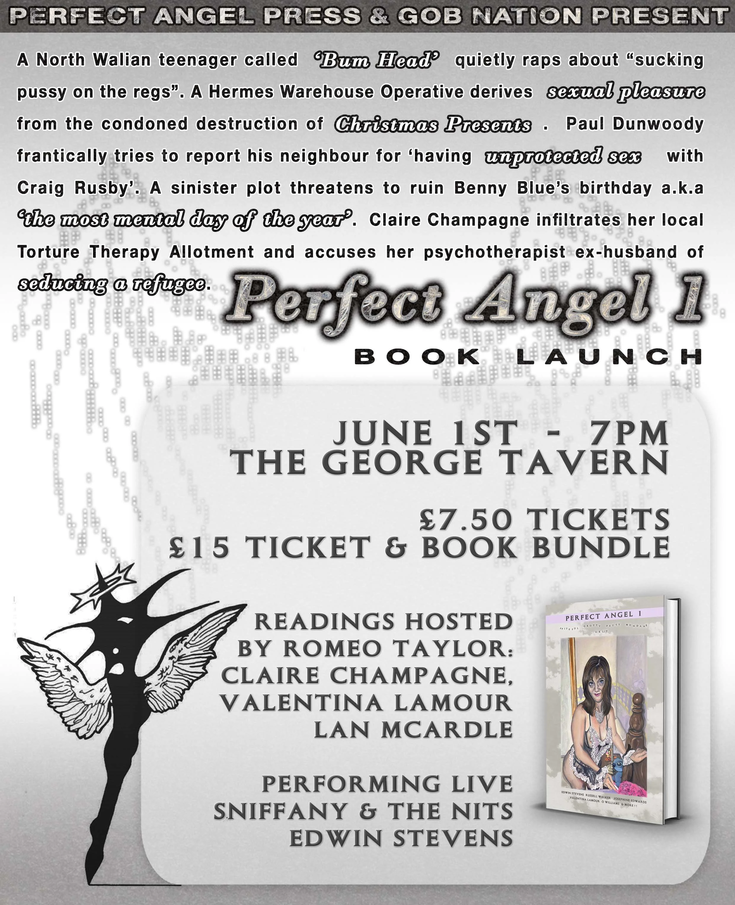 PERFECT ANGEL POSTER w lan.jpg