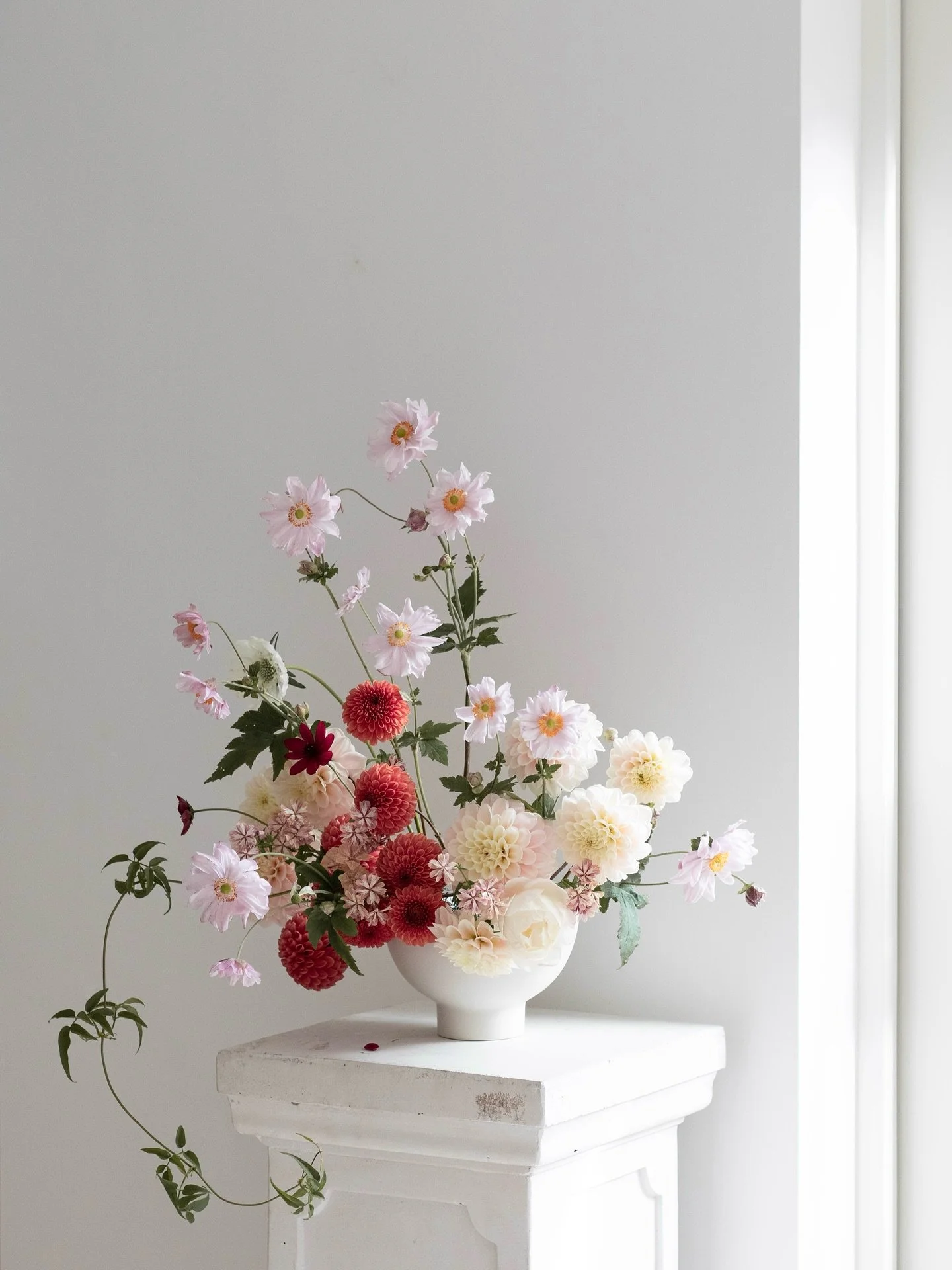 | late autumn &bull;

a little November slow down for a cold and damp Monday.

Playing with literally the very last of the garden flowers, in my own time, and without wondering how to transport. Luxury 🌀.

#fromthegarden #gardengathered #nottinghamw