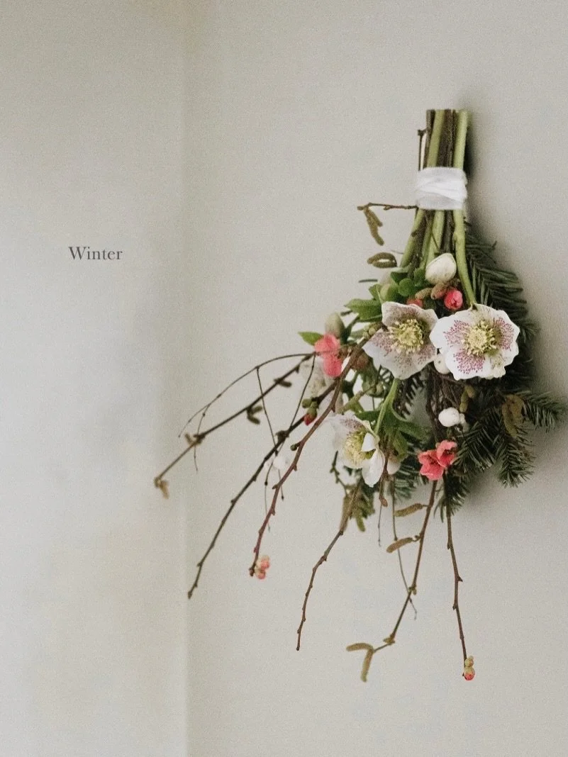 | gentle January; the turn of the year &bull;

a time to reset
easing back into the everyday 
slow mornings
early dark afternoons 
candlelight 

Muddy dog walks, just various shades of muted browns, but a hint of what&rsquo;s to come - hellebores, co