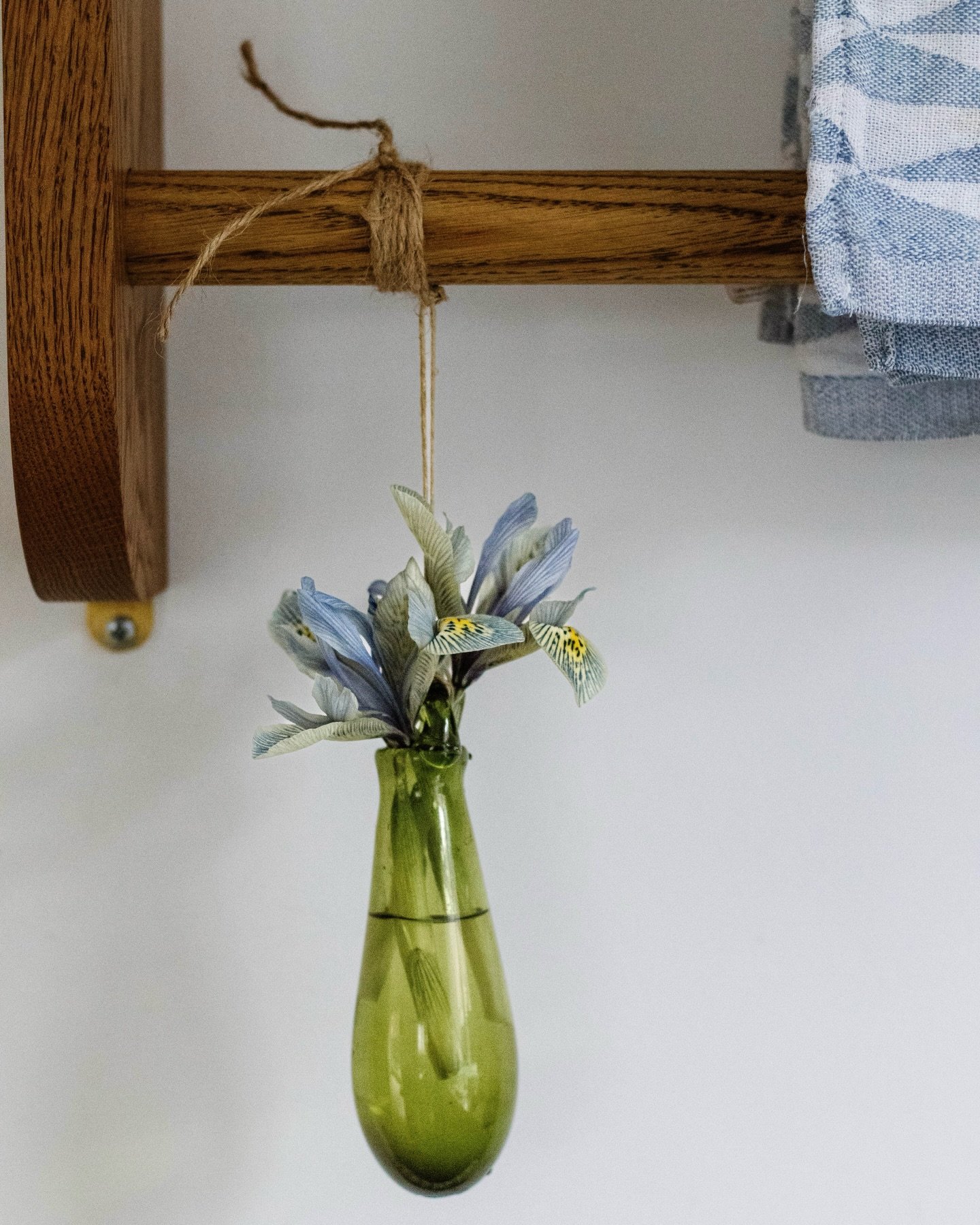 | pale blue Monday 🌀&bull;

early February - the border between winter and spring - and a subtle shift in light:

&ldquo;It might be
the shortest month
but it is still ripe 
with possibilites &ldquo;

Mary Oliver

#blueflowers #flowersandotherstorie