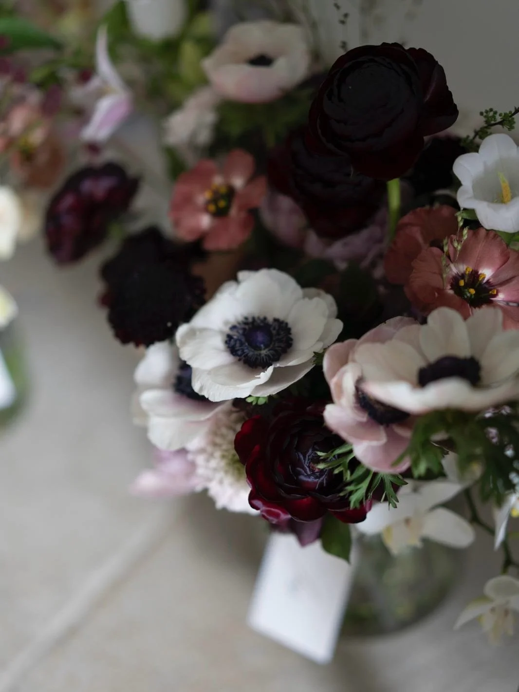| March 🌱&bull;

anemones, double tulips and spring snowflakes; shades of black cherry + blush, patiently waiting for one of my favourites @jesstruelsen who married Luke one year ago today.

Hope you have the best day sweetheart,

Love, N x 🤍

📸: 