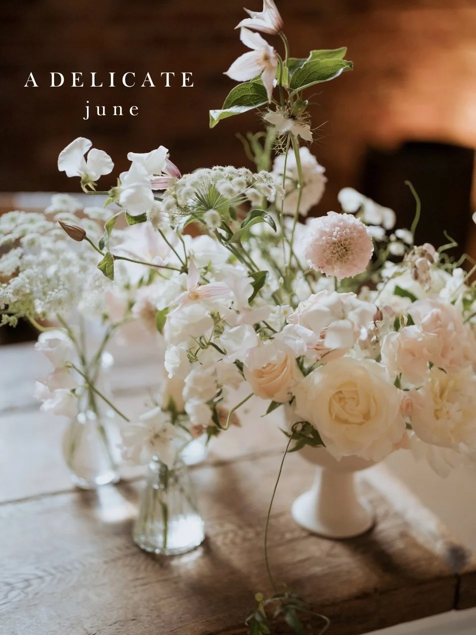 | June &bull;

and all those delicate meadowy beauties: corncockles, ammi, phlox, briza grass, roses, early scabious, silene. And of course sweet peas - my go-to for every late spring and summer wedding. Ruffly deliciousness.

And a little bit of Dua
