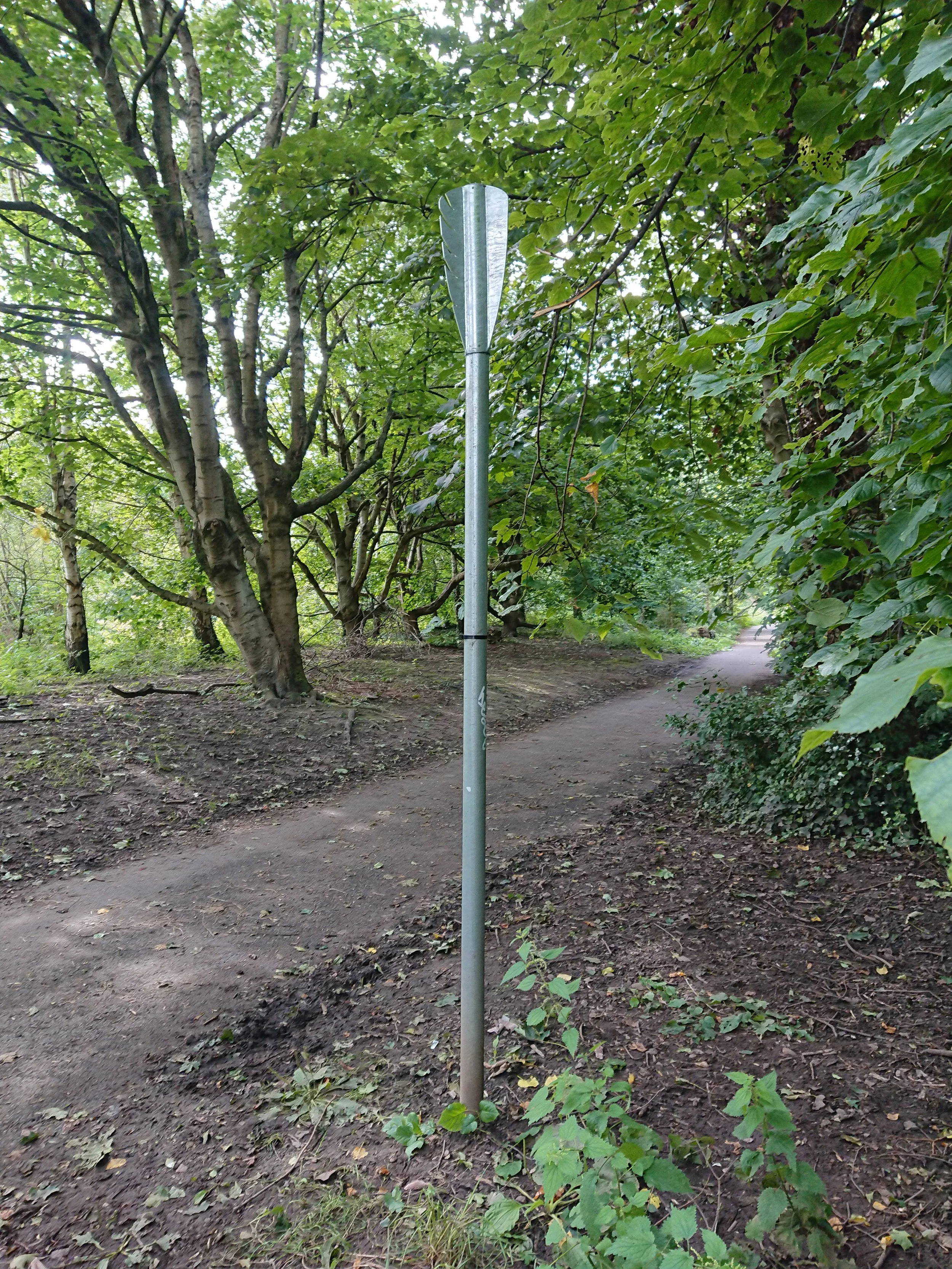 DSC_1167.JPG