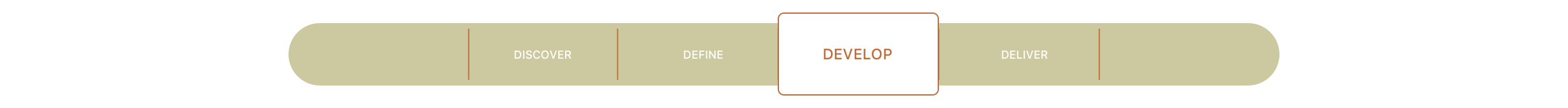 24_Develop.png