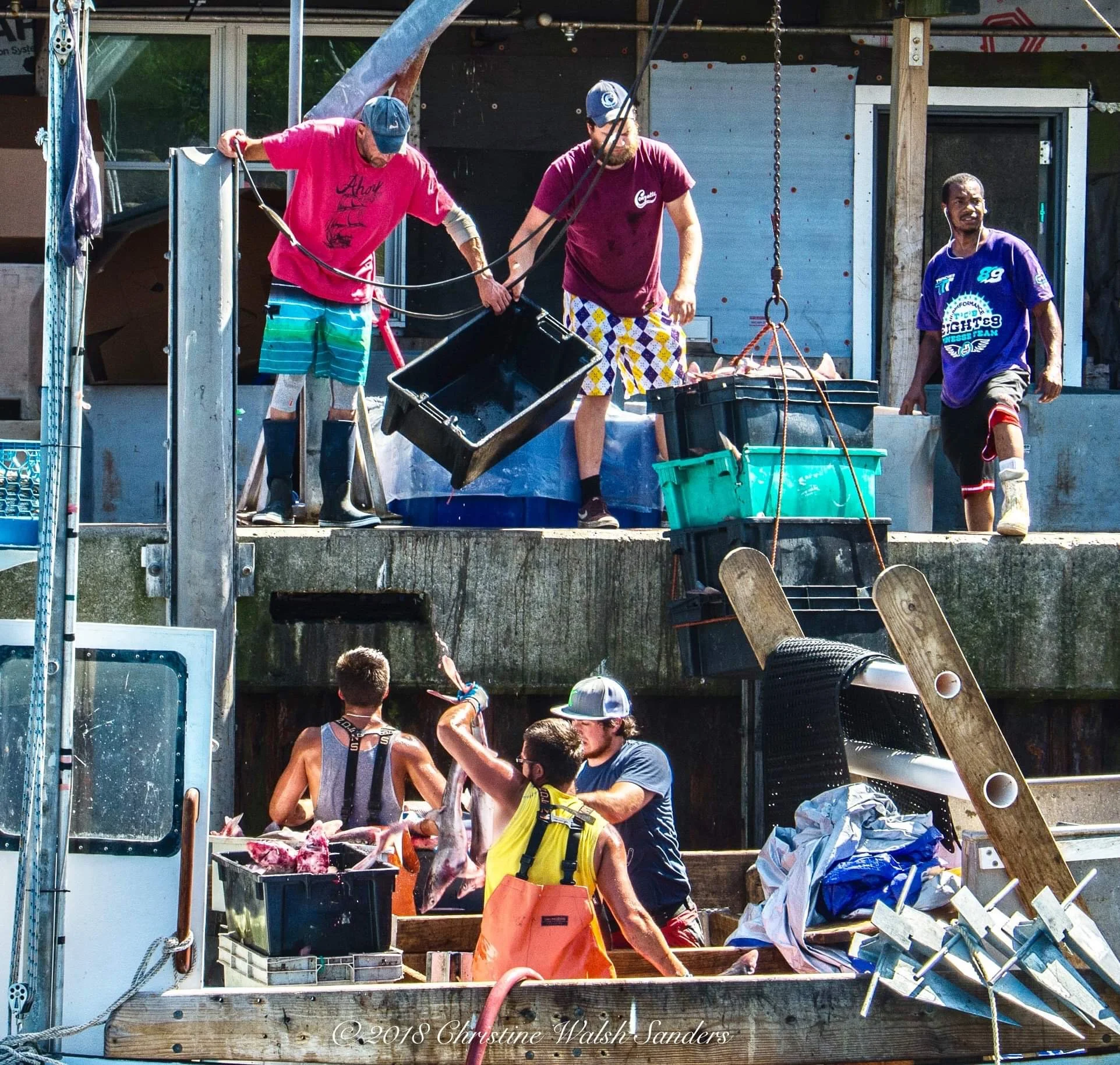 "The Backbone Of Chatham" Chatham Fish Pier.