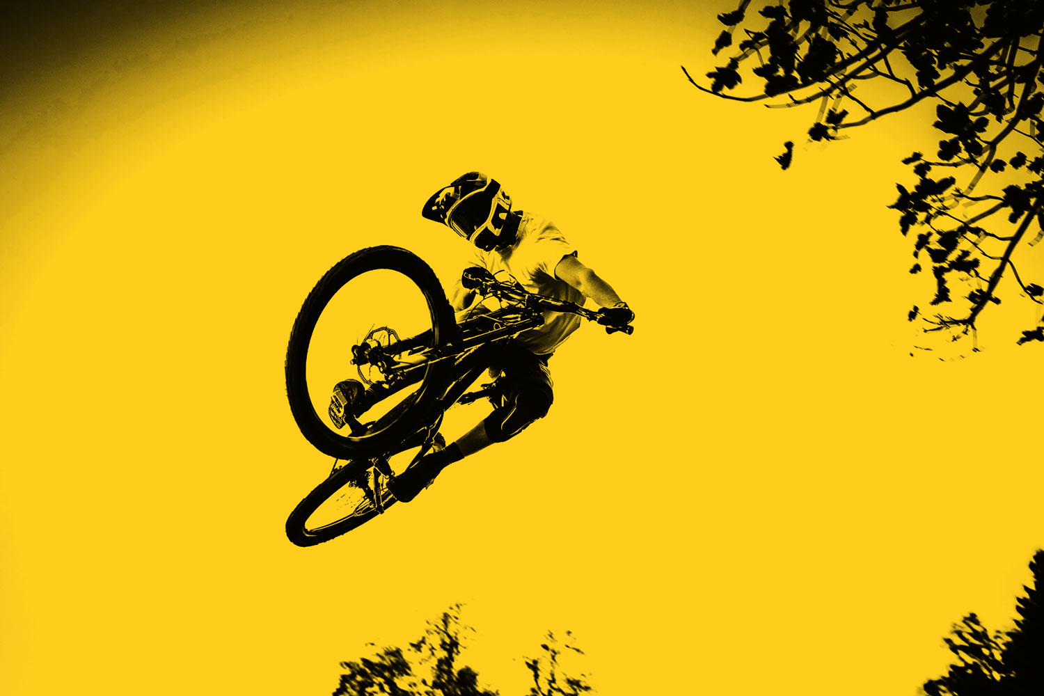 Freestyle_ch_Mountainbike_Jump_black_and_yellow.jpg