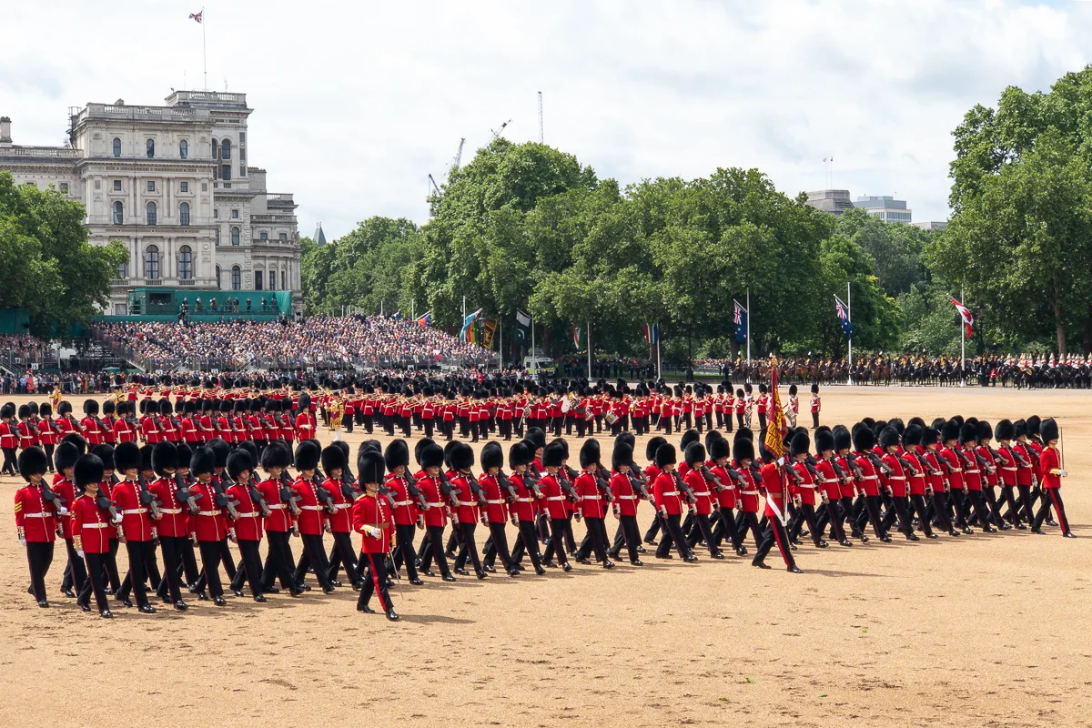 QPB-2019-016.jpg