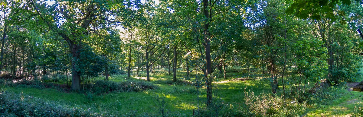 Croxton-Park-001.jpg