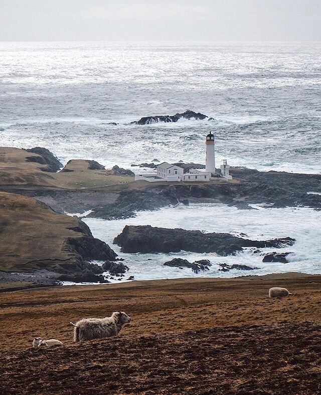 One Fair Isle walk we highly recommend is up Malcolm&rsquo;s Head. You can enjoy views over the whole island and get a new perspective on landmarks such as the South Lighthouse ✨
#fairislestudio #creativeresidency #fairisle #shetland #promoteshetland