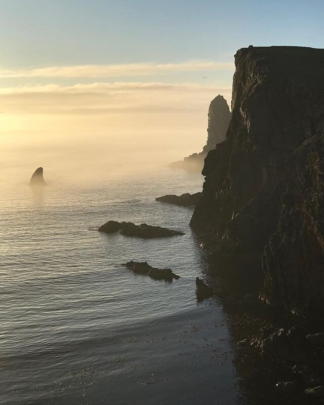 A gentle fog rolling in from the sea ☁️
#fairisle #shetland #fairislestudio #creativeresidency #islandresidency