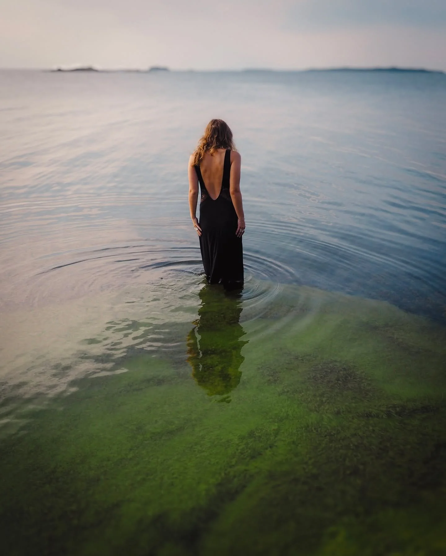 The dance of the Aurelia aurita

This year in the relatively warm September waters in the Baltic Sea we had a lot of jellyfish appearing in the coastal waters. One can look at their dance and admire the translucent bell shape for ages. 

#olympusomd 