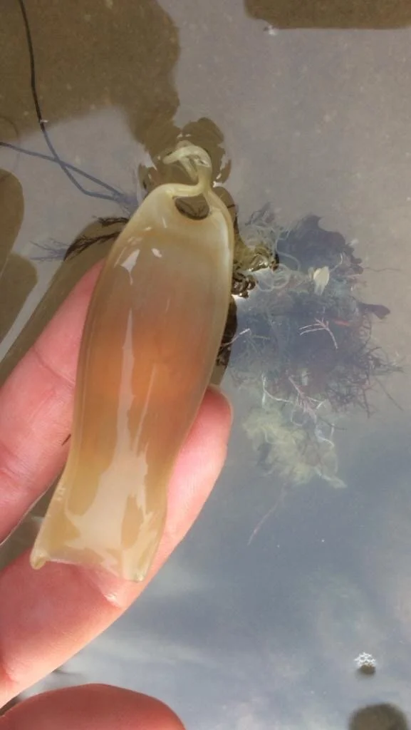 Muddy Care Blog Week 10